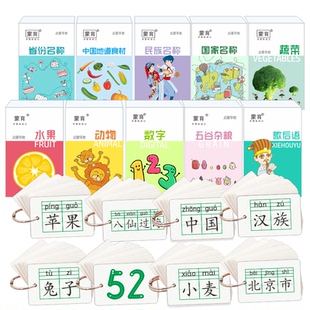 儿童幼儿早教启蒙认知卡歇后语国家省份数字卡动物名族水果卡闪卡