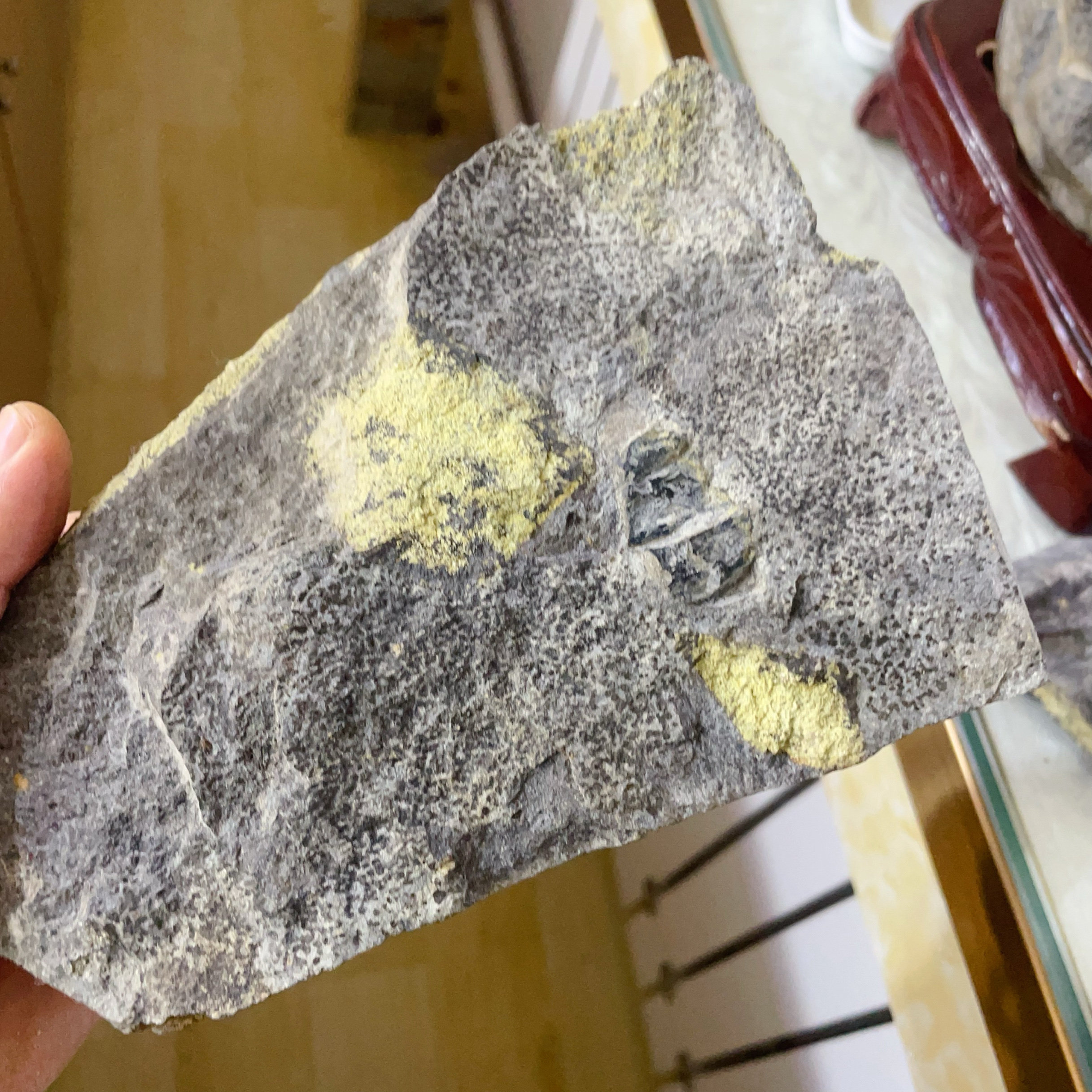 天然蓝宝石标本矿产摆件玄武岩宝石矿区产正品包邮国内现货山东