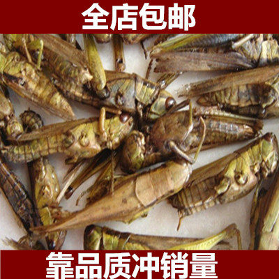 中药材蝗虫干 五谷虫干 蛐蛐干蝼蛄干鸟食蚂蚱干鸟饲料500g