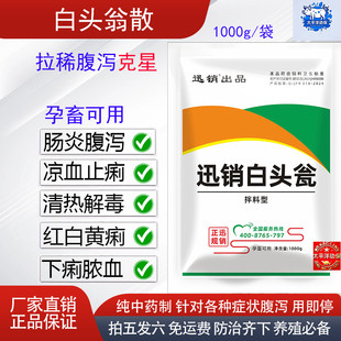 兽用白头翁清热解毒凉血止痢猪牛羊鸡鸭鹅黄白痢疾止泻散肠炎腹泻