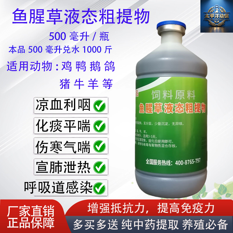 鱼腥草口服液兽用清热消炎抗菌