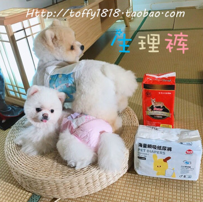 宠物尿片礼貌带生理裤防骚扰
