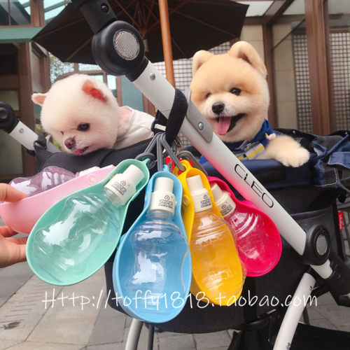宠物猫狗外出小巧方便携带喝水器