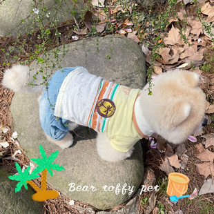 polo衫 BeartoffyPet日单宠物衣服猫狗春夏透气轻薄款 可爱翻领t恤