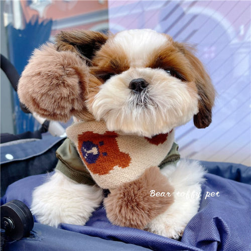 BeartoffyPet宠物猫狗秋冬保暖围脖 可爱卡通小熊潮穿搭毛线围巾
