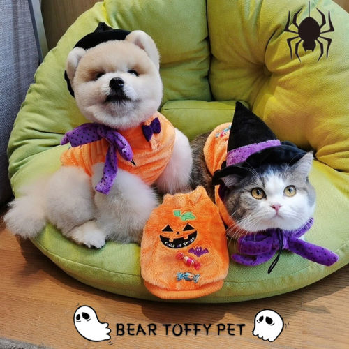 猫狗保暖背心万圣节变身装