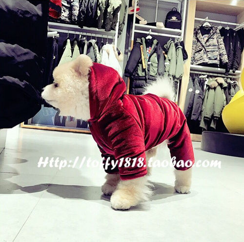BEARTOFFYPET保暖羽绒服