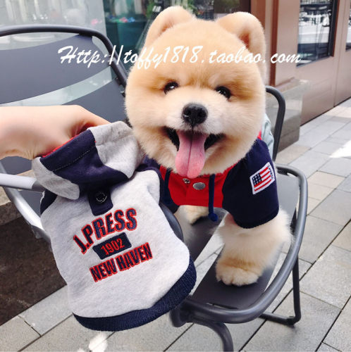 连帽卫衣猫狗中大型犬宠物衣服