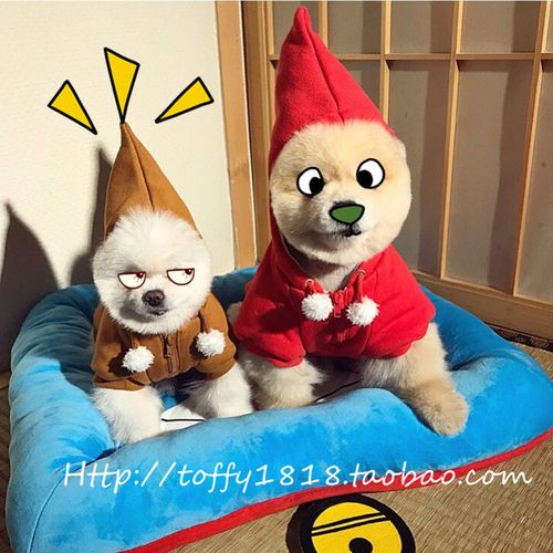 Bear toffy Pet日单宠物衣服 猫狗连帽卫衣 打底厚卫衣套衫可爱