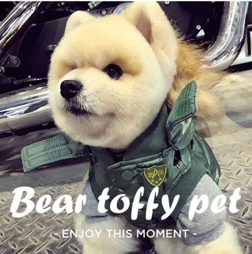 BEARTOFFYPET秋冬保暖厚棉衣