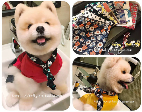 宠物卖萌饰品猫咪百搭绑带小方巾