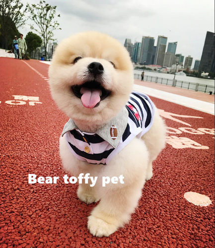 宠物polo衫日单透气舒适T恤猫狗