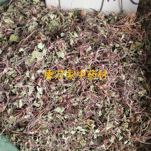 雷公根500g积雪草 连钱草地钱草马蹄草铜钱草灯盏菜 崩大碗