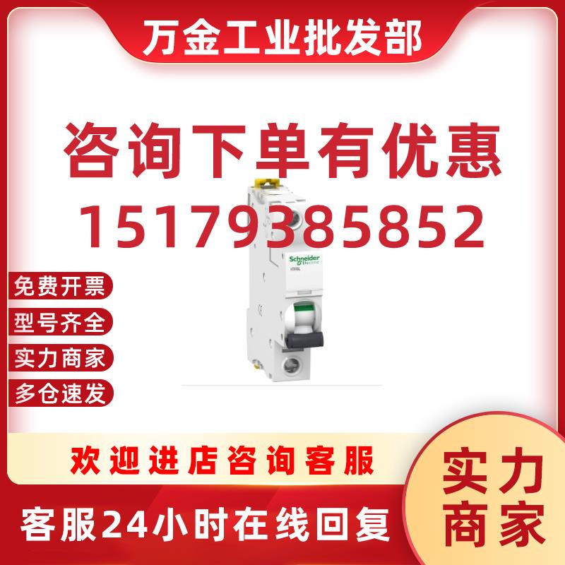 议价 微型断路器IC65H 1P C2A 空气开关A9F281