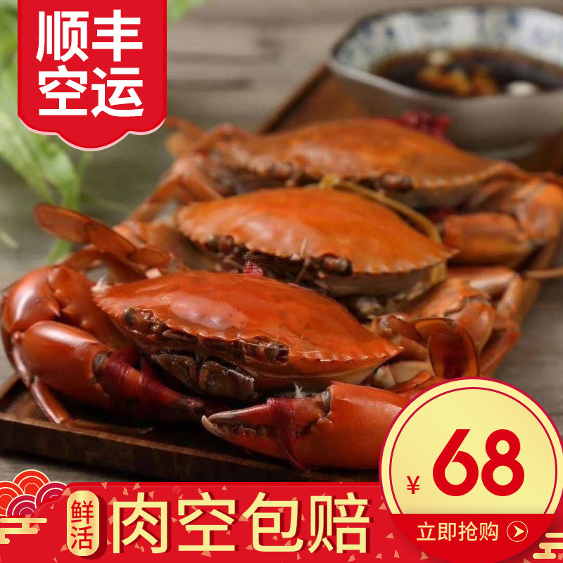 AA蟹缅甸孟加拉青蟹鲜活螃蟹野生1只海蟹250g左右香辣蟹顺丰空运