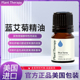 现货美国Plant Therapy蓝艾菊精油放松缓解压力情绪舒缓天然香薰