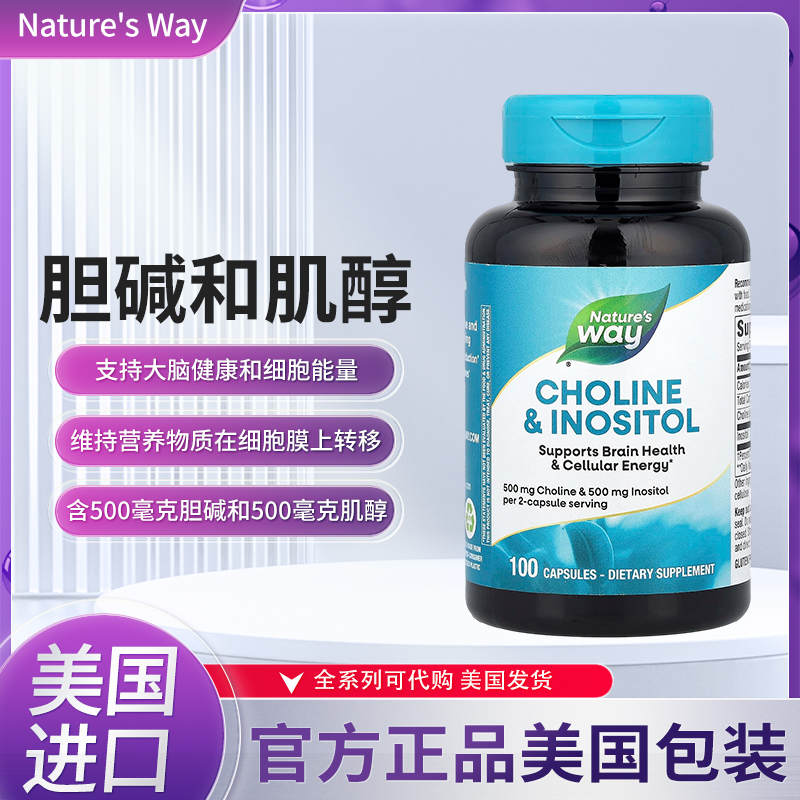 胆碱肌醇支持大脑健康和细胞能量