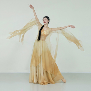 半城香绝美渐变仙气飘逸大袖 古风古典舞服中国舞练功演出服装