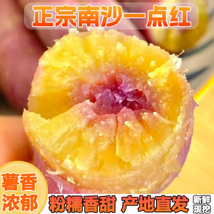 正宗南沙一点红番薯红薯新鲜现挖3/5/9斤南沙紫心冰淇淋花心地瓜