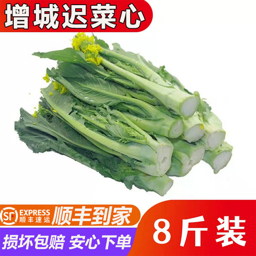 增城迟菜心新鲜蔬菜8斤顺丰到家