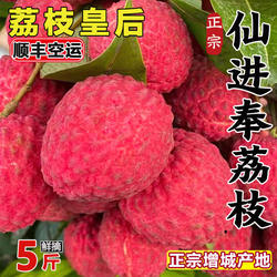 正宗仙进奉荔枝新鲜现摘当季水果高端送礼精品5斤整箱顺丰空运