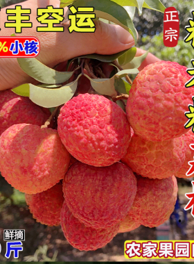 正宗糯米糍荔枝新鲜广东荔枝现摘当季水果整箱5/9斤空运 SF 包邮
