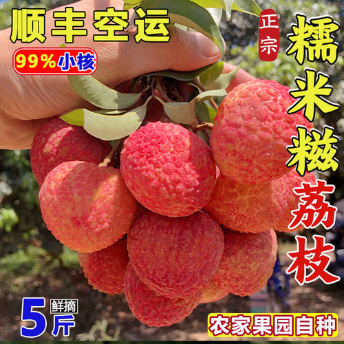 正宗糯米糍广东荔枝5/9斤新鲜SF