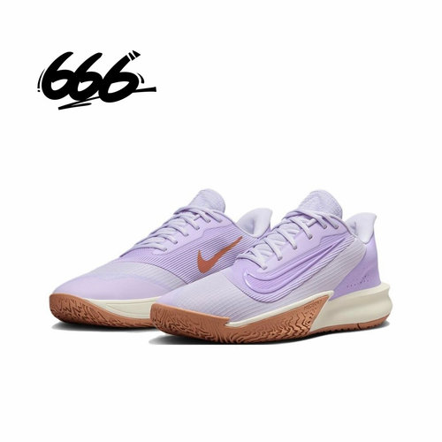 NIKE/耐克男子耐磨篮球鞋