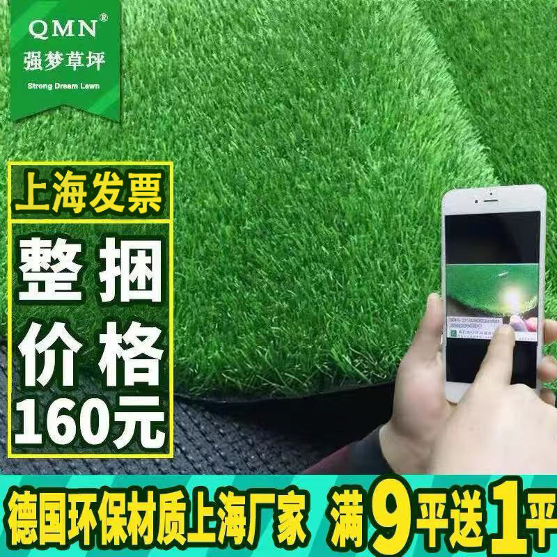 上海强梦仿真草坪地毯户外屋顶楼顶隔热塑料幼儿园人工人造假草皮