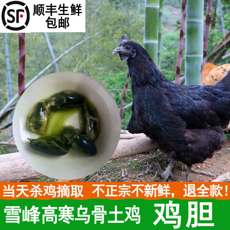 怡博士现取胆新鲜土乌鸡鸡胆苦胆胆汁活胆土鸡苦胆20个