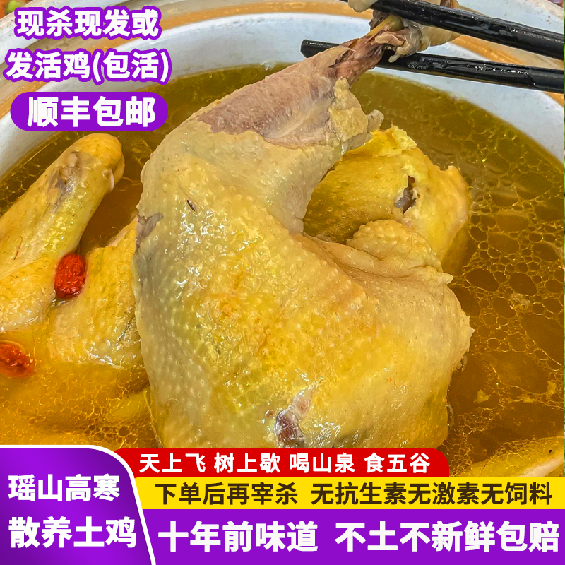 2年土鸡农家散养鲜活现杀孕妇月子鸡走地鸡草鸡活鸡散养母鸡一只