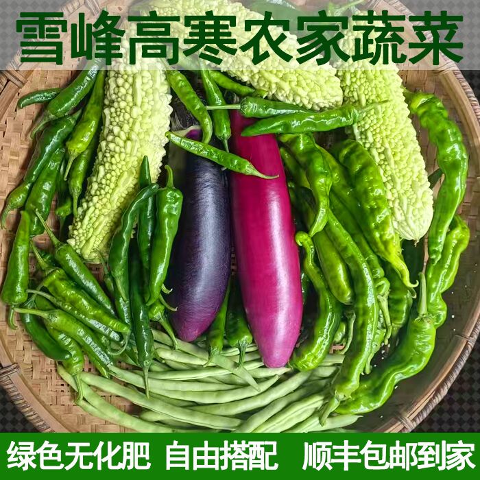 湖南辣椒苦瓜紅茄子絲瓜小南瓜樟樹港辣椒小黃瓜當(dāng)季蔬菜玉米