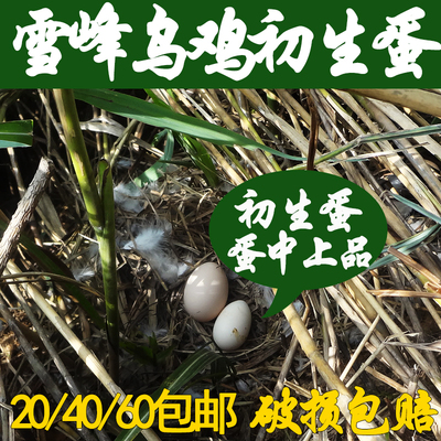 高山雪峰20个包邮乌鸡蛋