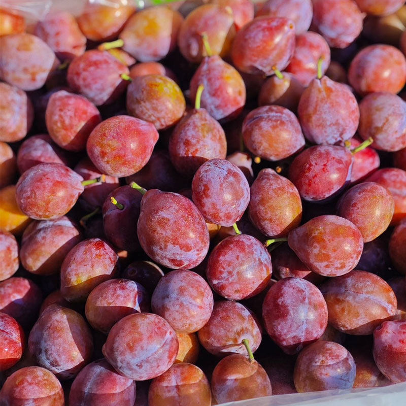 智利进口西梅6斤大果2J顺丰包邮