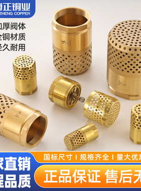 博正阀门BZ4070铜底阀水底阀单铜滤阀向阀水泵莲蓬头