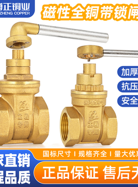 博正阀门BZ3051B水表前外磁锁闸阀防盗加密阀SZ15W-16T