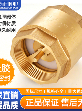博正BZ4030弹簧消声立式止回阀H12X-16T单向逆止阀