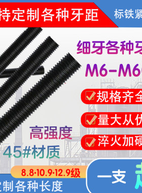 标铁紧固件黑色丝杠细牙螺杆