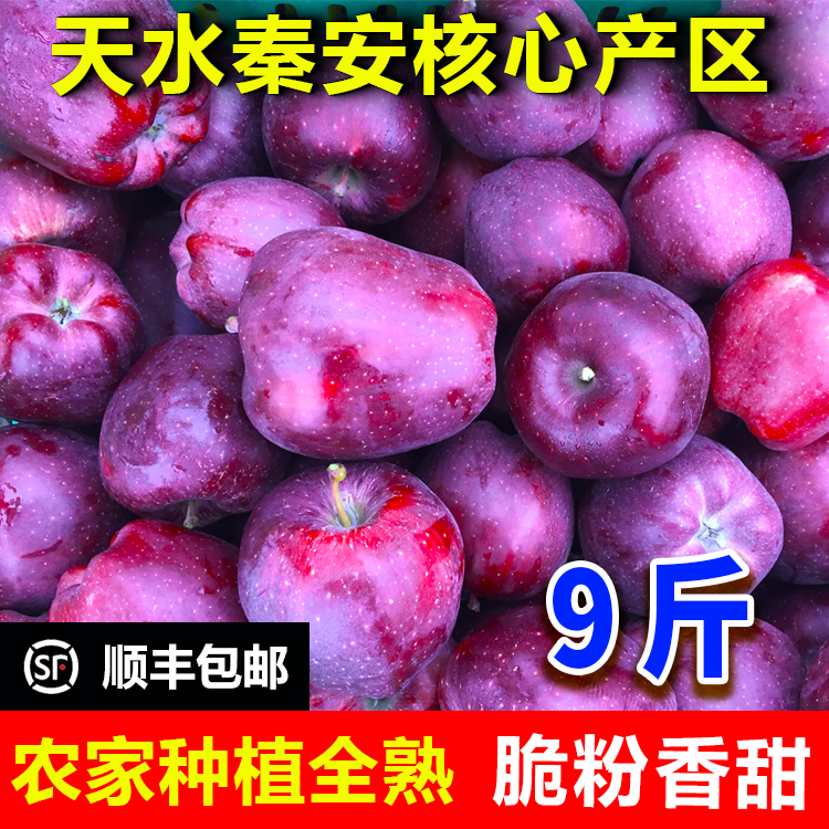 正宗甘肃天水秦安花牛苹果脆粉苹果新鲜现摘孕妇水果老人小孩苹果,水产肉类/新鲜蔬果/熟食,苹果,淘宝优惠券,粉丝福利购,淘宝优惠卷