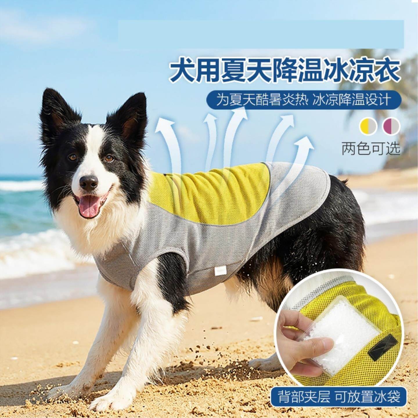 宠物凉凉衣小型狗狗夏天犬2026衣服春夏夏季降温凉感防晒薄款新款