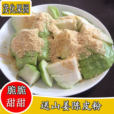 整整可种植多肉辐射陆龟粮