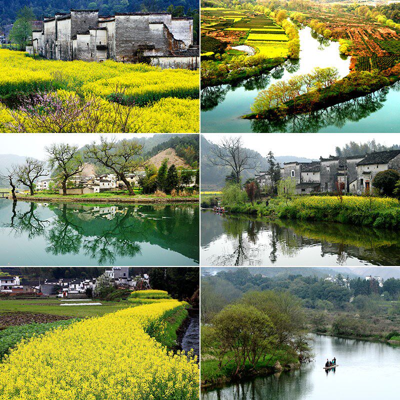 婺源风景江西李坑篁岭石城油菜花乡村田园摄影高清照片图片素材