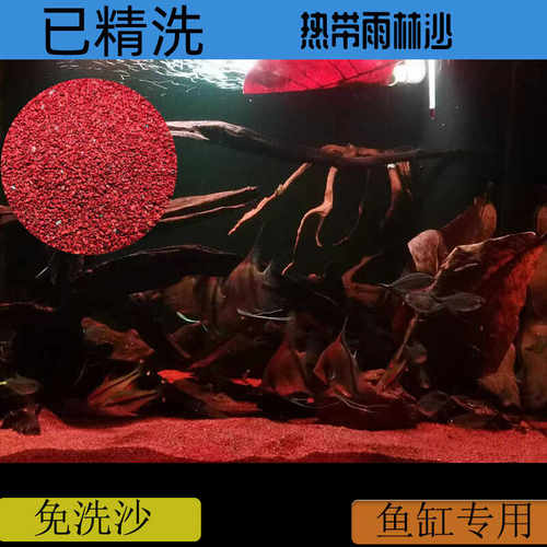 鱼缸免洗沙子底沙雨林红三湖慈鲷南美鼠鱼造景金水族铺底迷你雷龙