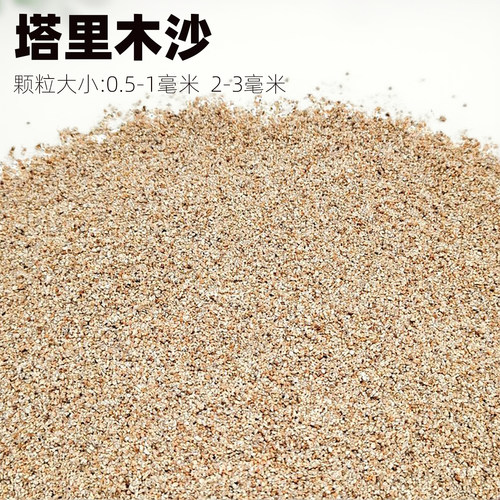 天然塔里木黄金沙河沙