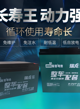 电动车电池电瓶12V48V60V72V12A20A34A蓄电池二轮三轮海宝电池