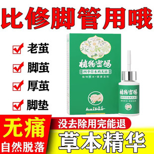 植物密码草本鸡尤液去老茧鸡眼死皮脚垫肉刺瘊子
