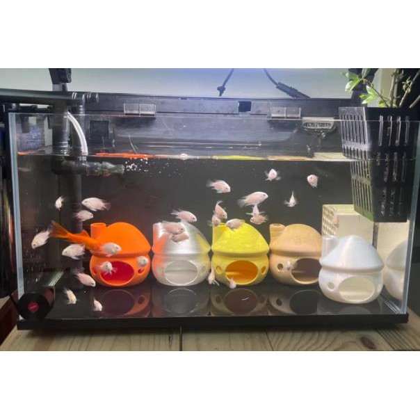 泰国斗鱼热带鱼小型鱼可爱产卵躲避屋鱼缸水族造景装饰3D打印创意图片