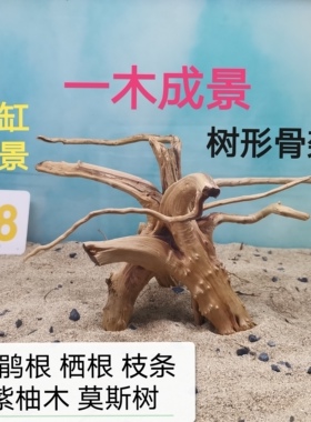杜鹃根一木成景栖根草缸造景沉木水陆缸雨林缸南美缸爬宠缸莫斯树