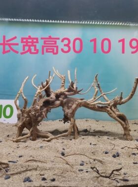 杜鹃根沉木造景一木成景拱桥树洞水陆缸雨林缸草缸莫斯胶拼接骨架