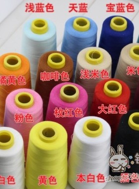 22色宝塔线  40/2高速涤纶线 缝纫线3000码/个  100g/个